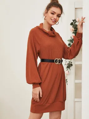 Cowl Neck Raglan Sleeve Sweater Dress Without Belt