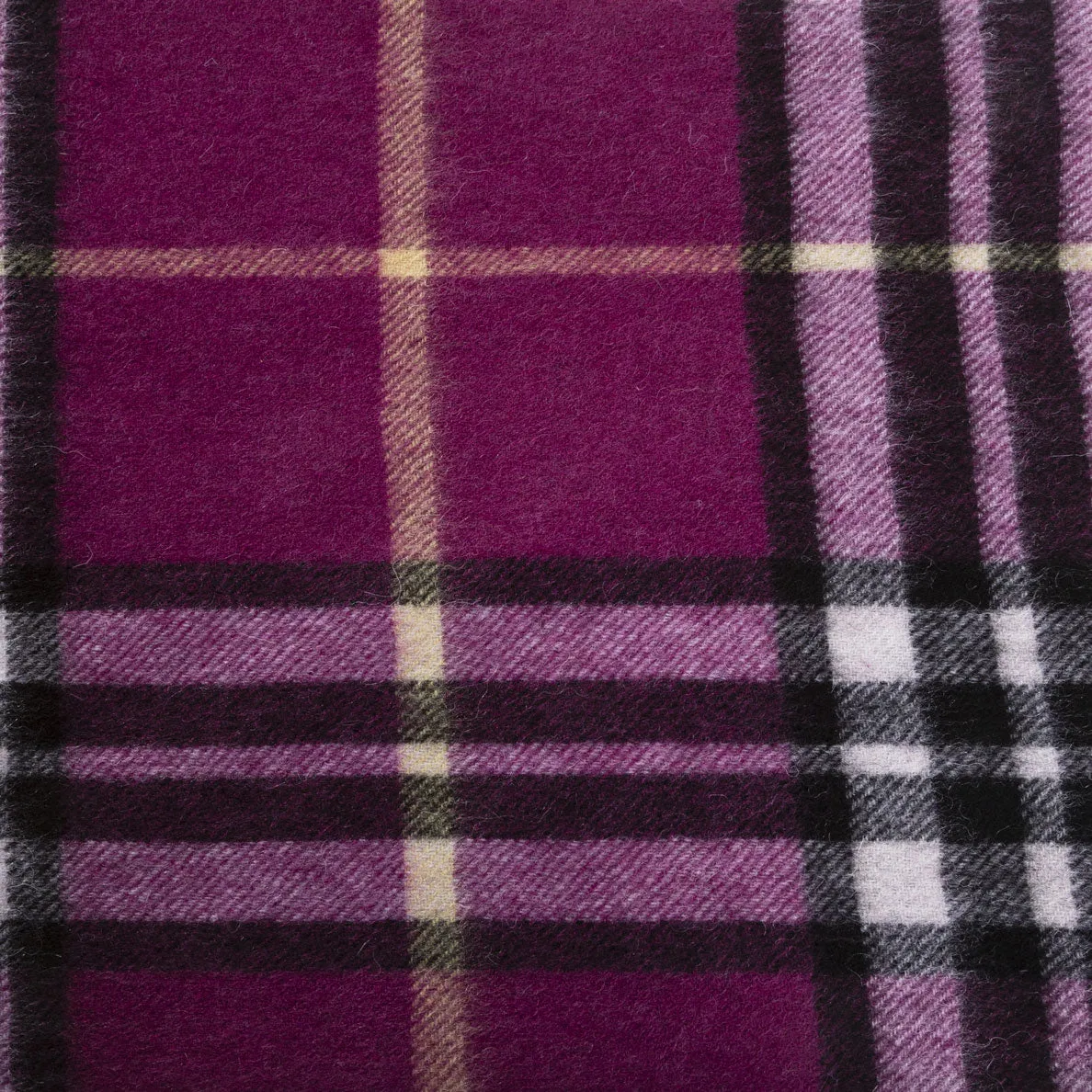 Edinburgh 100% Lambswool Scarf  Enlarged Off Ctr Scotty Thom Raspberry