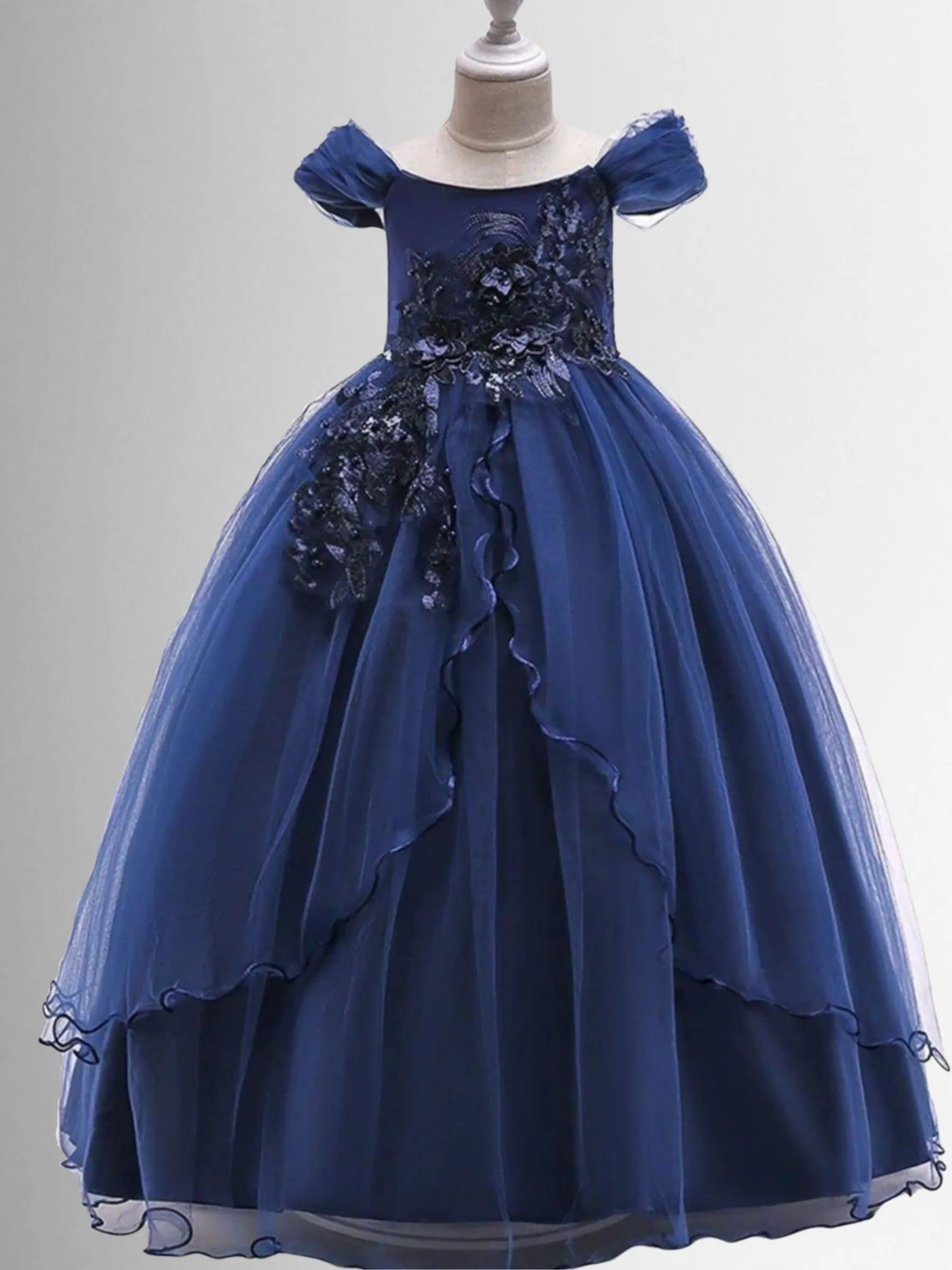 Regal Beauty Embellished Princess Special Occasion Dress