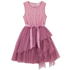 Sally Lace Tutu Dress - Rouge