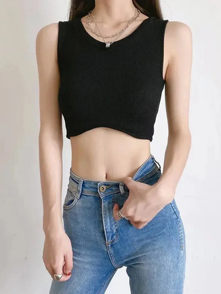 Solid Color Knit O-Neck Streetwear Crop Top