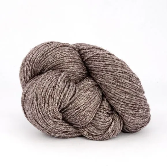 Xyris Kit Size 1-3 (Taupe 10)